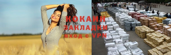 ALPHA-PVP Каменка
