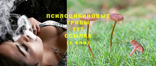 прущая мука Алзамай
