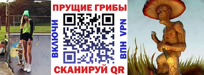 Галлюциногенные грибы Psilocybine cubensis  Шацк 